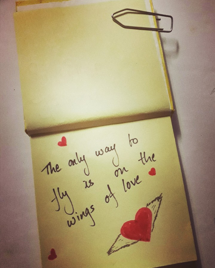 ON THE WINGS OF LOVE❣