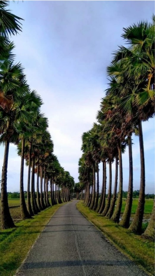 Nature
