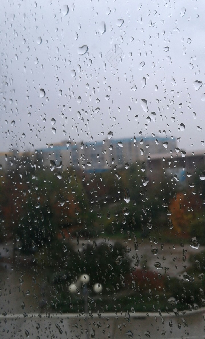 дождливый день☔