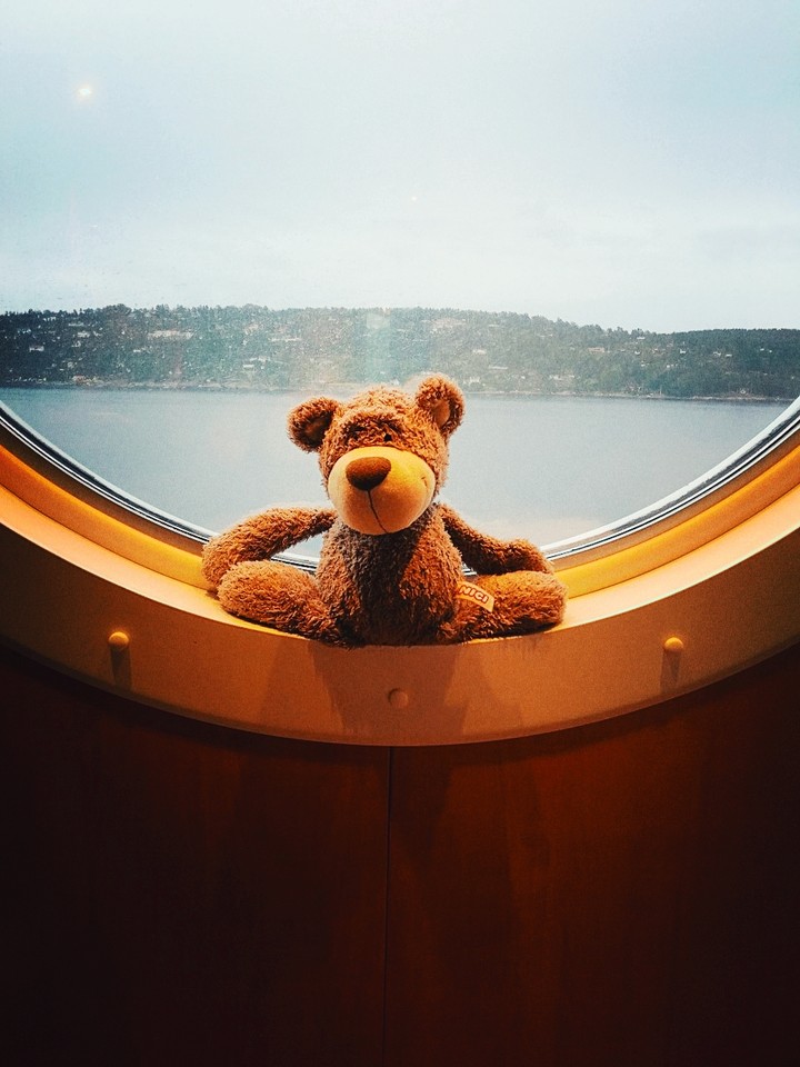 Teddy