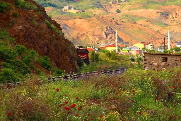 palu turkish