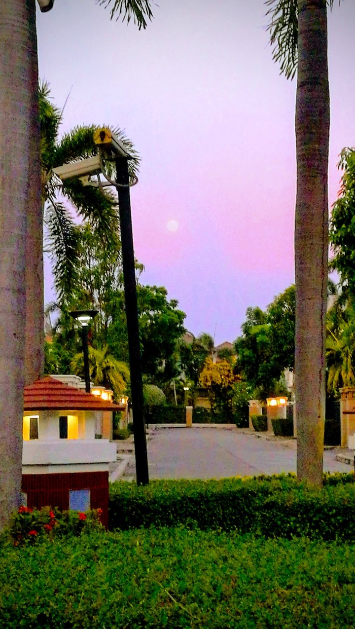 full moon