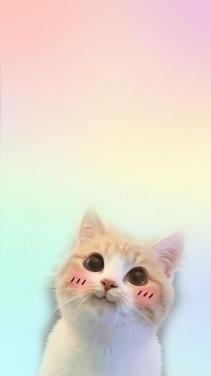 кот