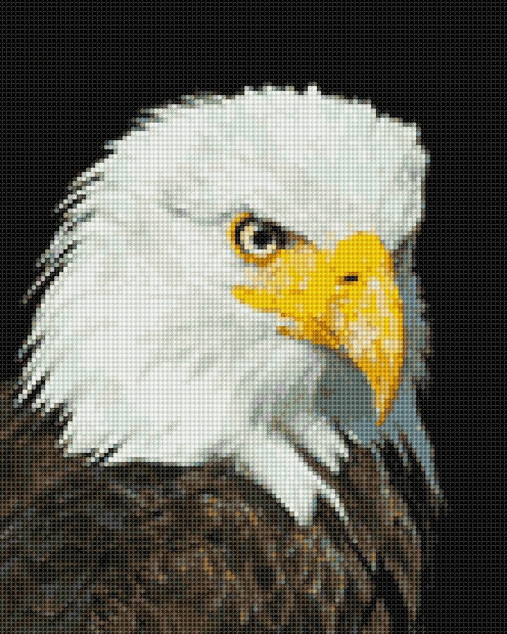 OISEAUX