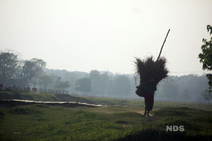 farmer