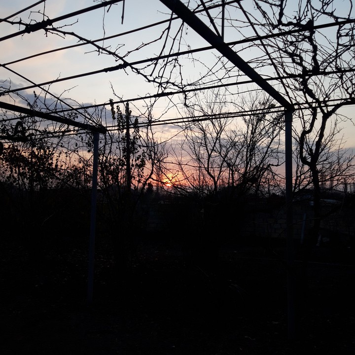 Perfect sunset