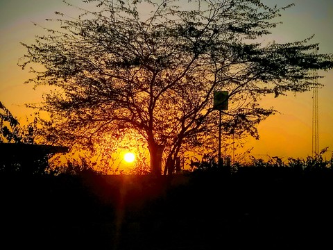 sunshine