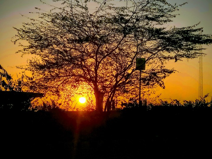 sunshine