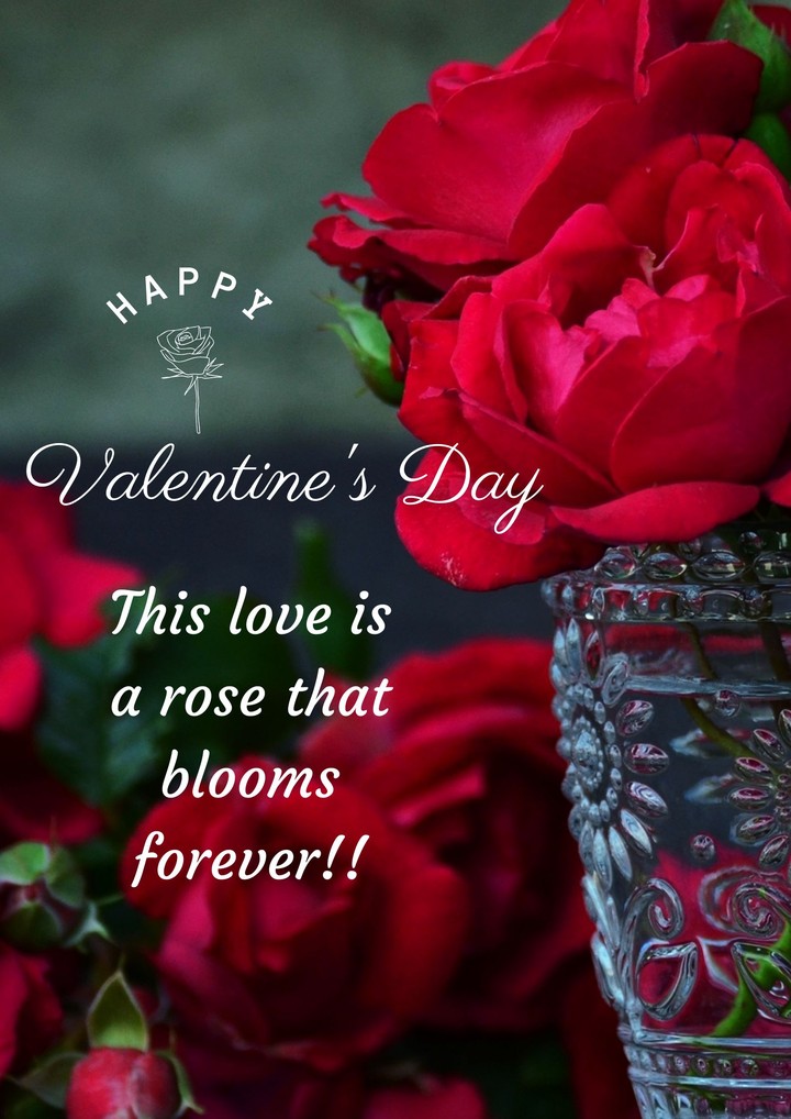valentine's day