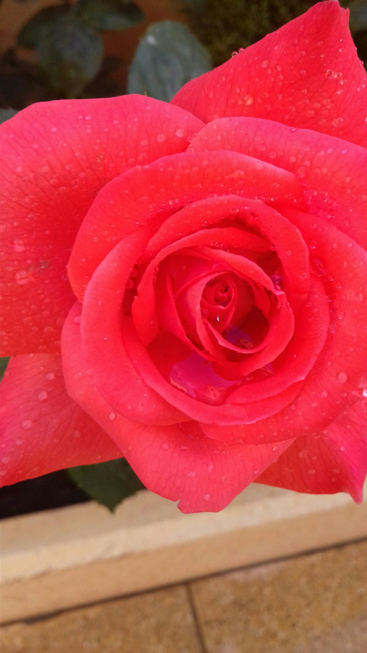 After rain