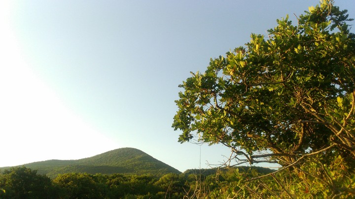 Abrau-Durso