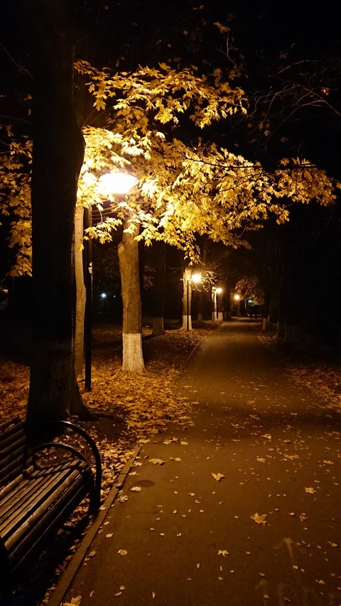 Autumn