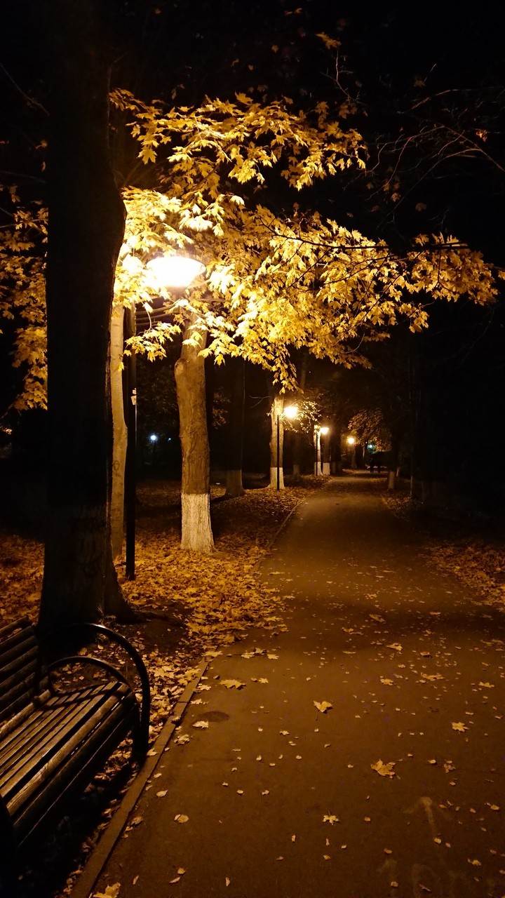 Autumn 