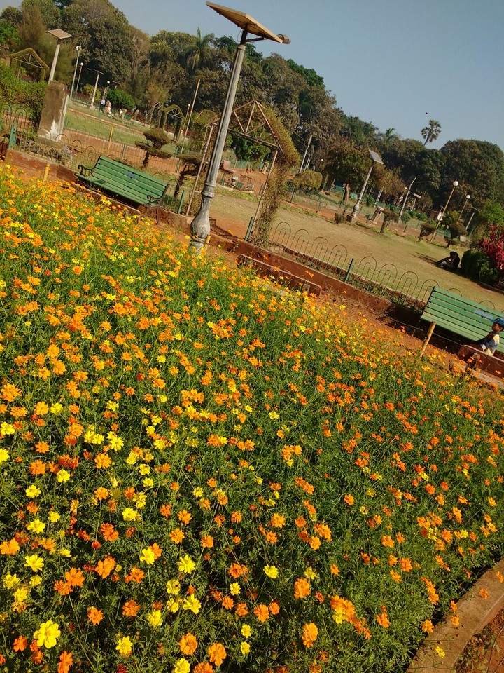 Hanging Gardens mumbai