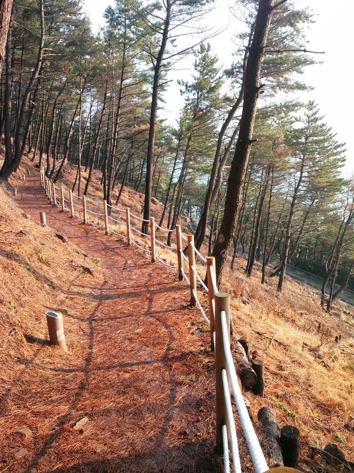 달맞이길