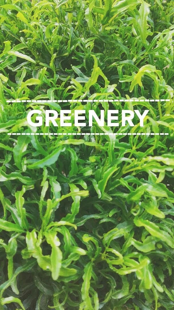 #green #nature