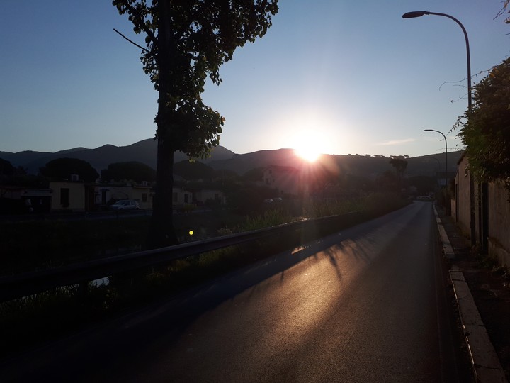 alba