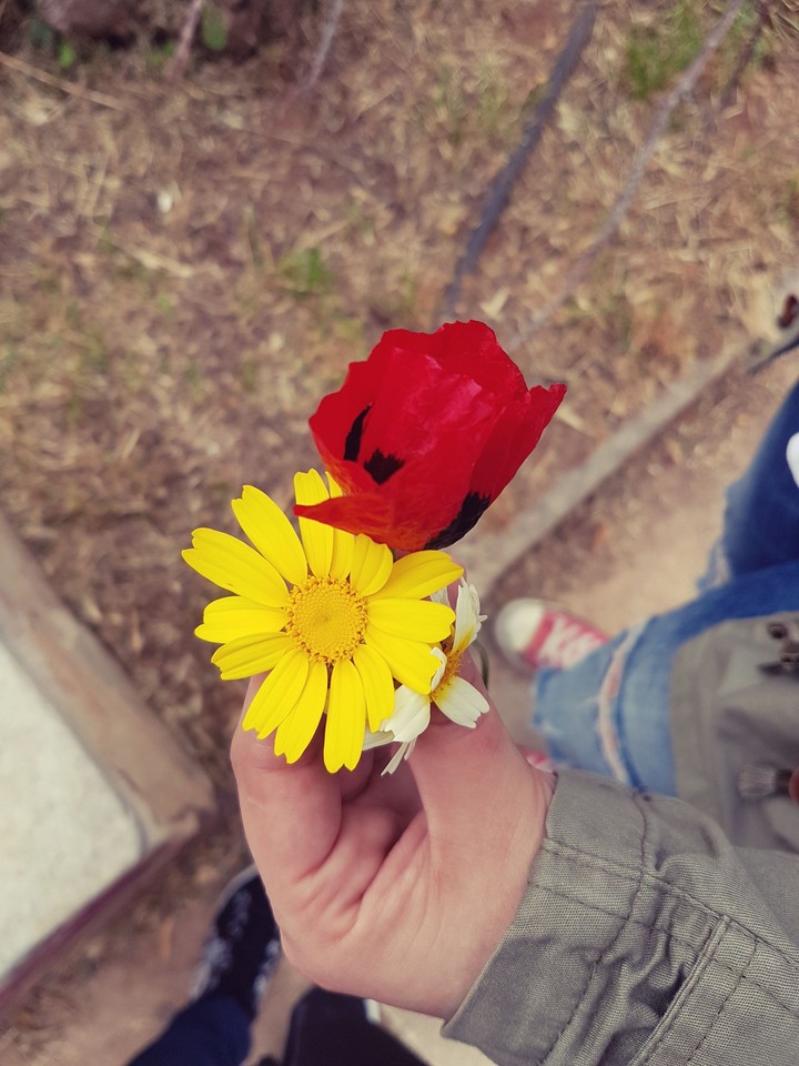 flowers
