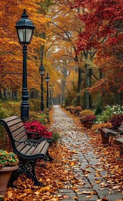 Orange, Winter, Autumn