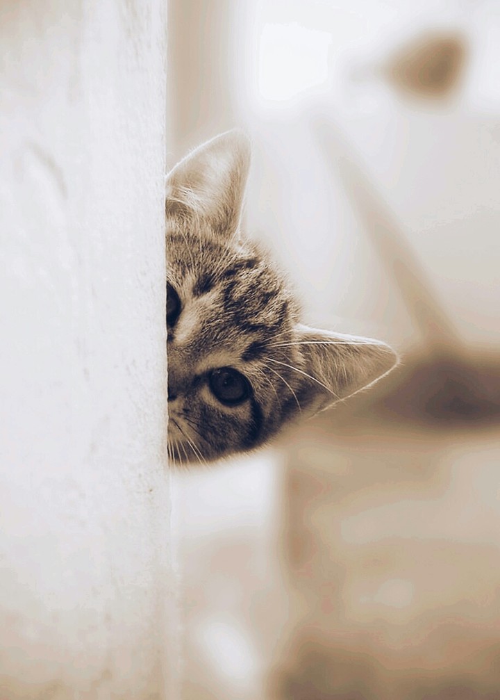 so cute