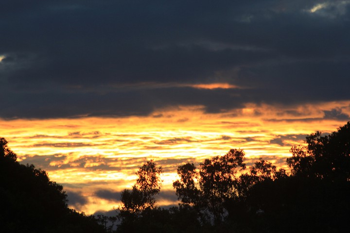 A golden dawn in the Masai Mara