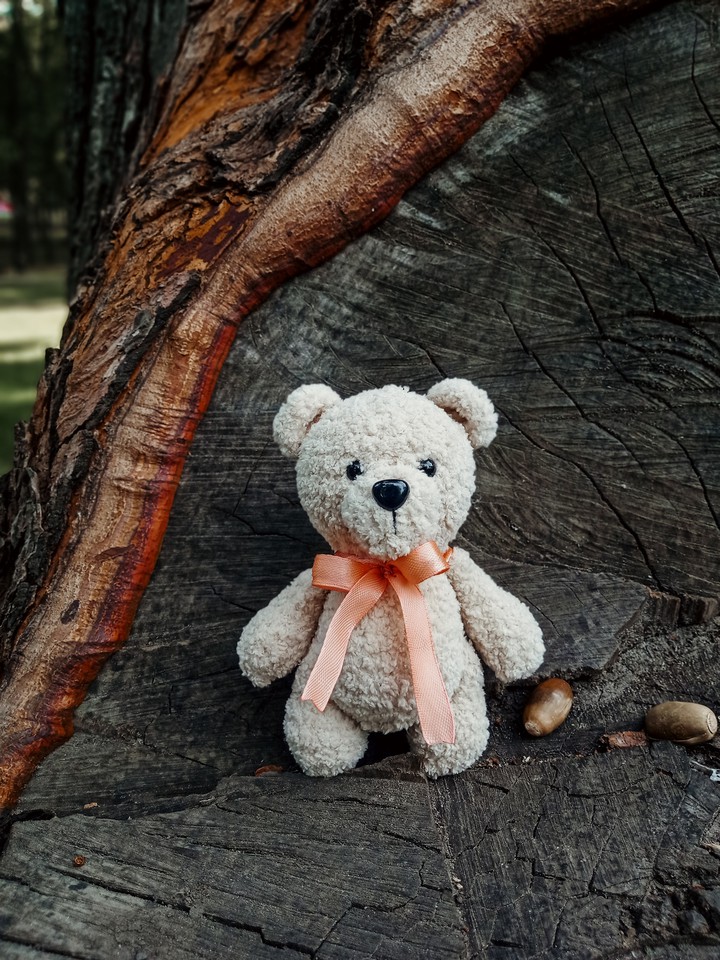 teddy bear