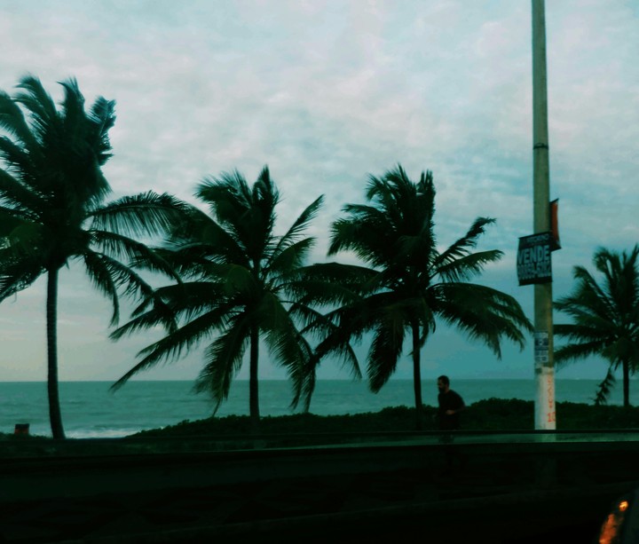 walking