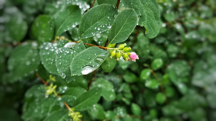 Rainy day in october