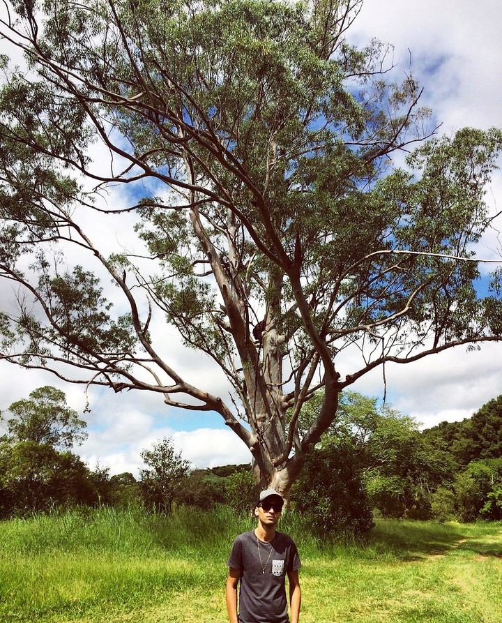 nature