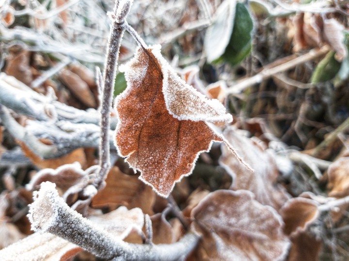 Winter morning