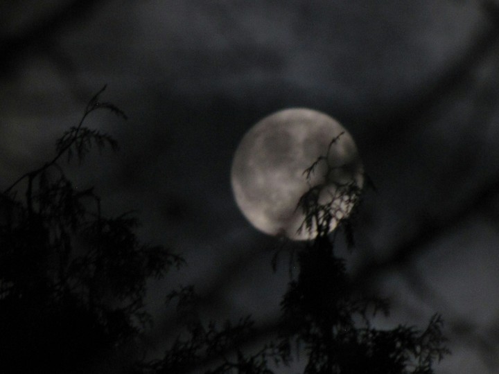 Moon