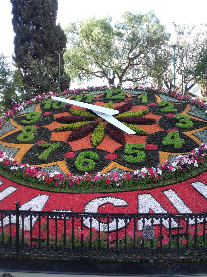 Reloj de Flores