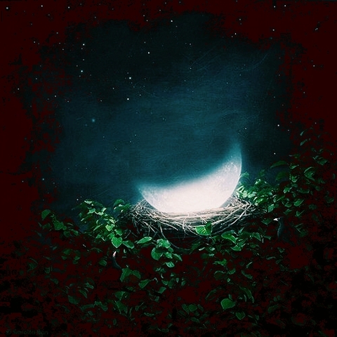 Moon Cradle