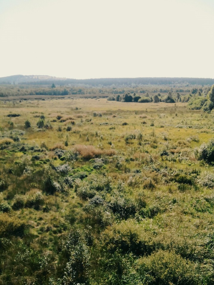 weites Land