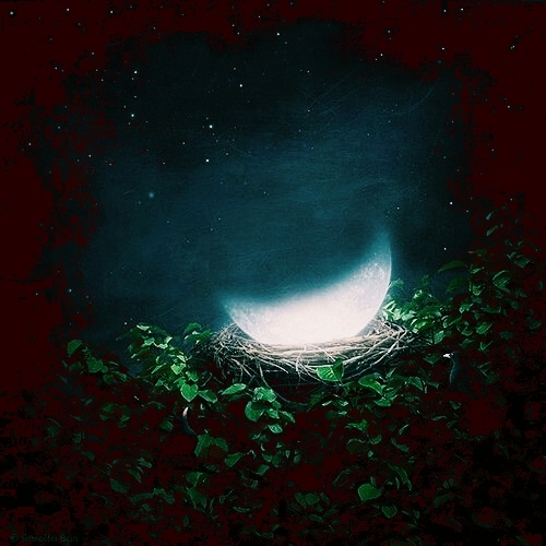 Moon Cradle