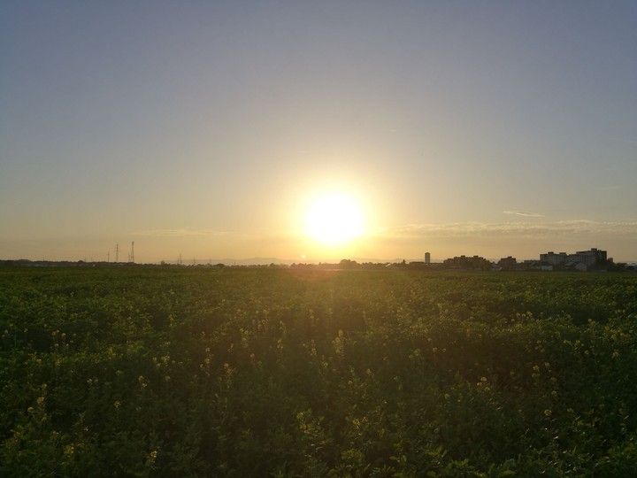 A bright Sun on a beautiful fallday