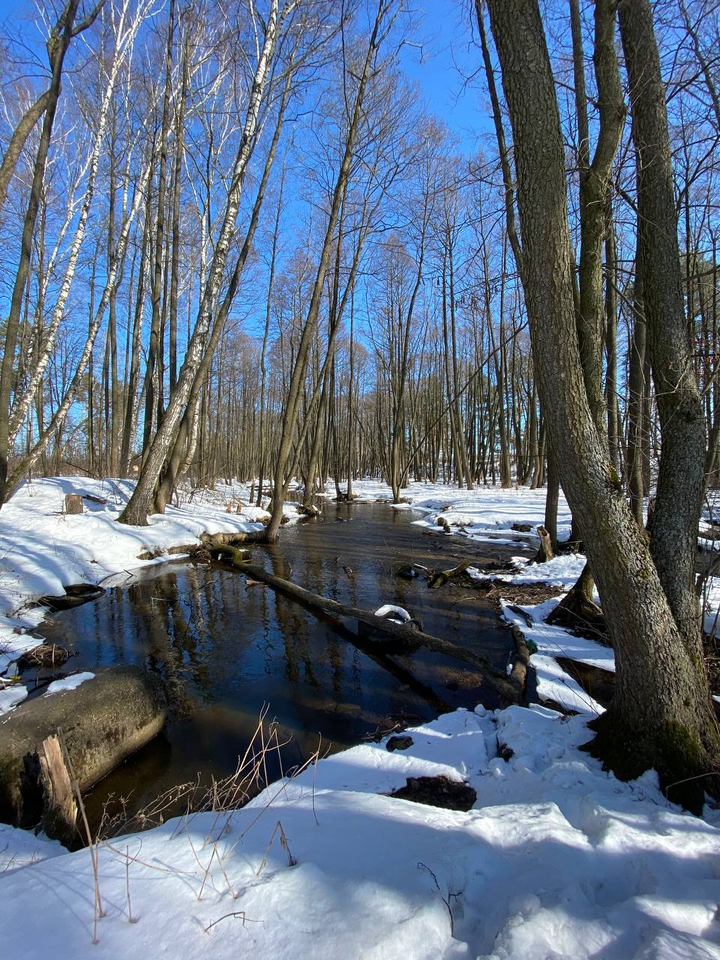 spring
