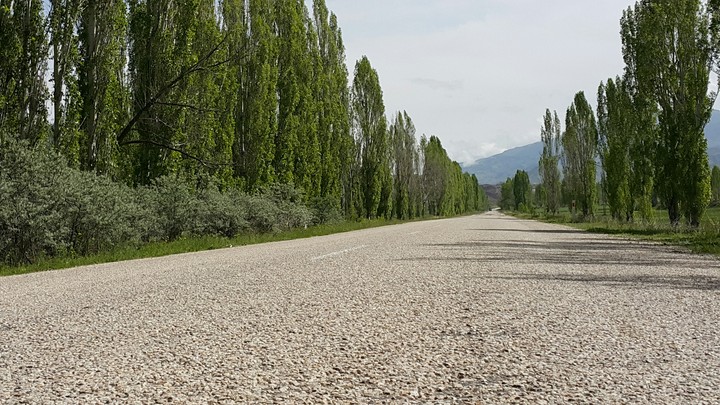 yol