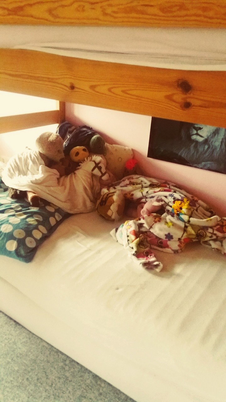 Kuscheltiere