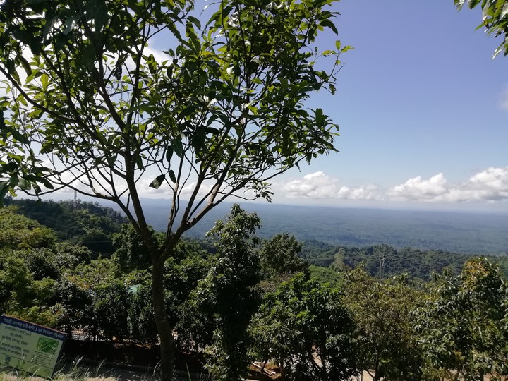 Nature