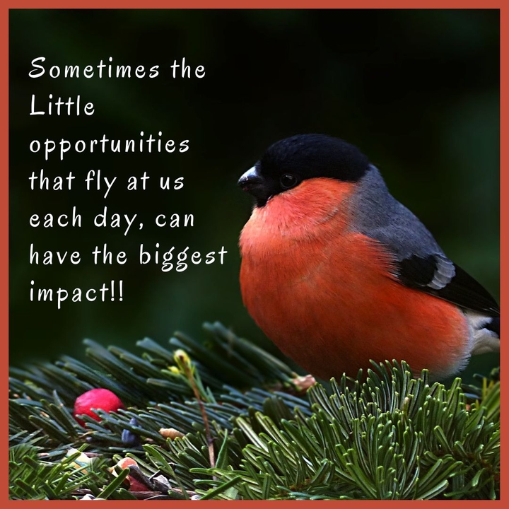 positive quotes