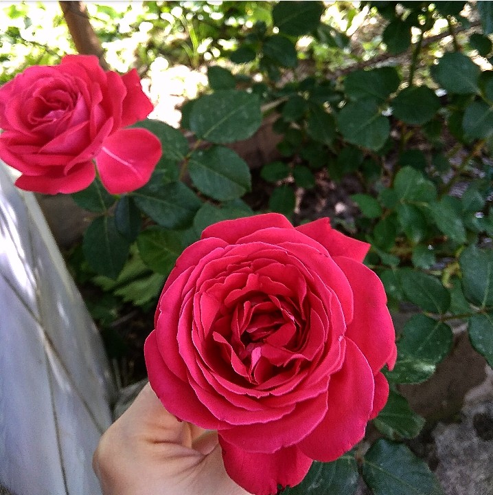 весеннее