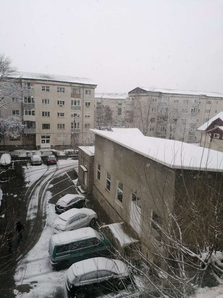 snow