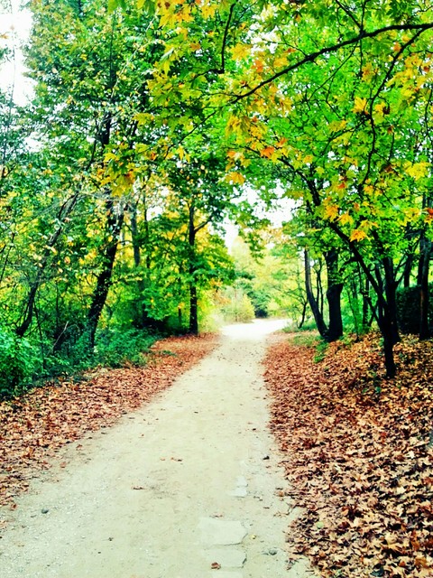 Autumn...