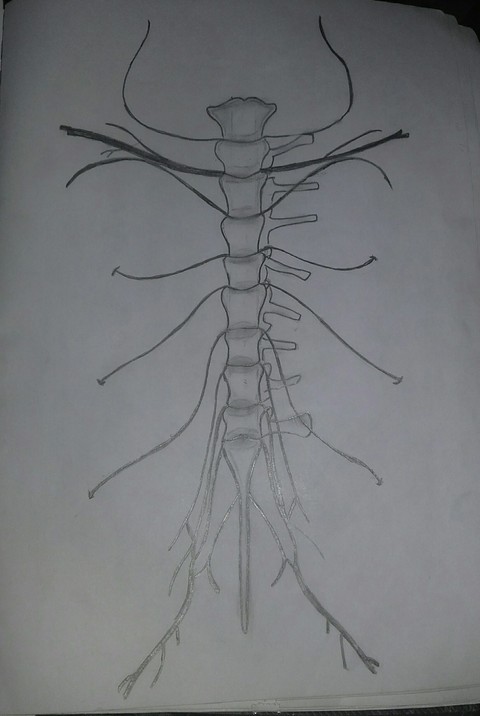 خلفيات sketch, symmetry