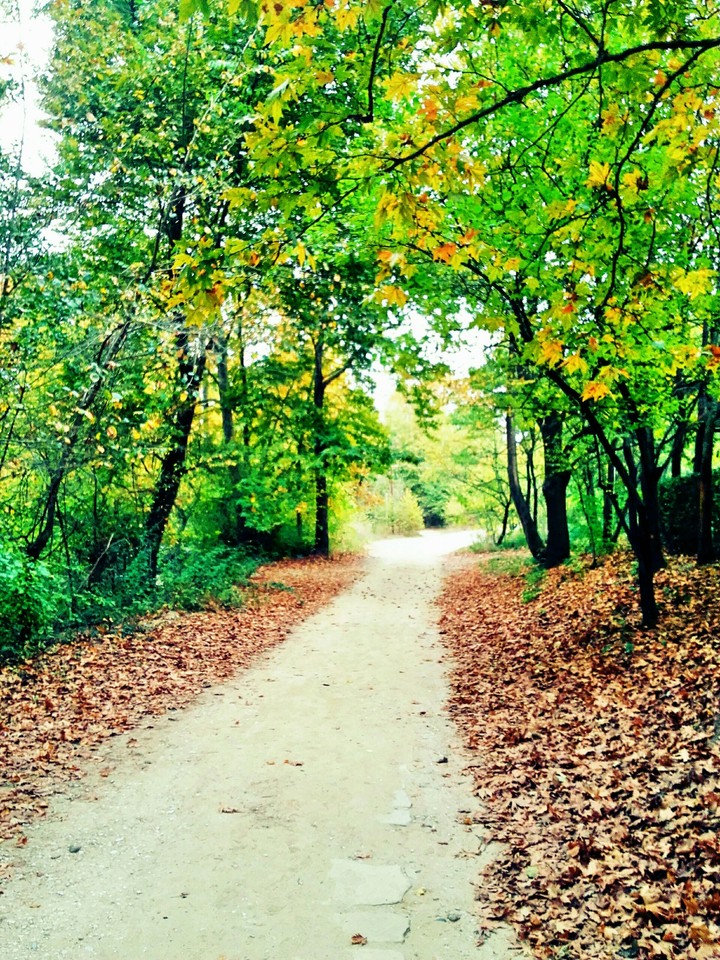 Autumn...