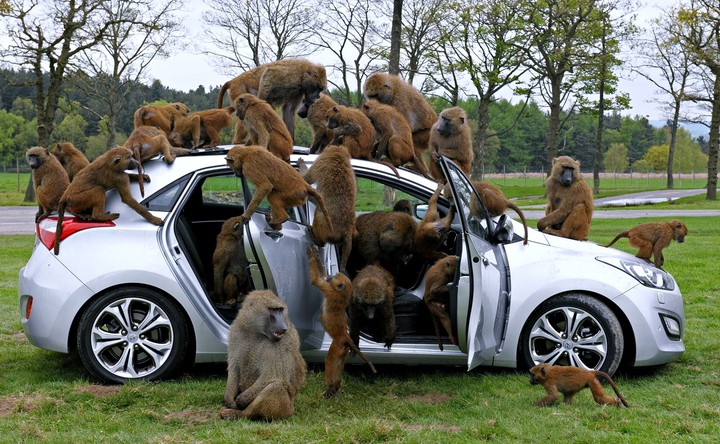 lovely picture...