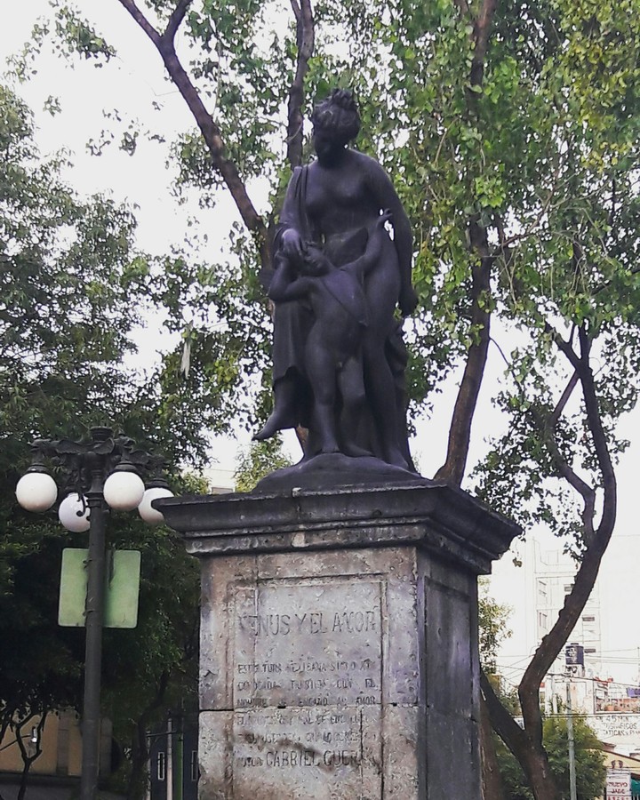 VENUS CDMX