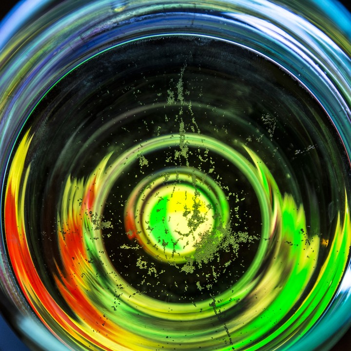 coloursplash