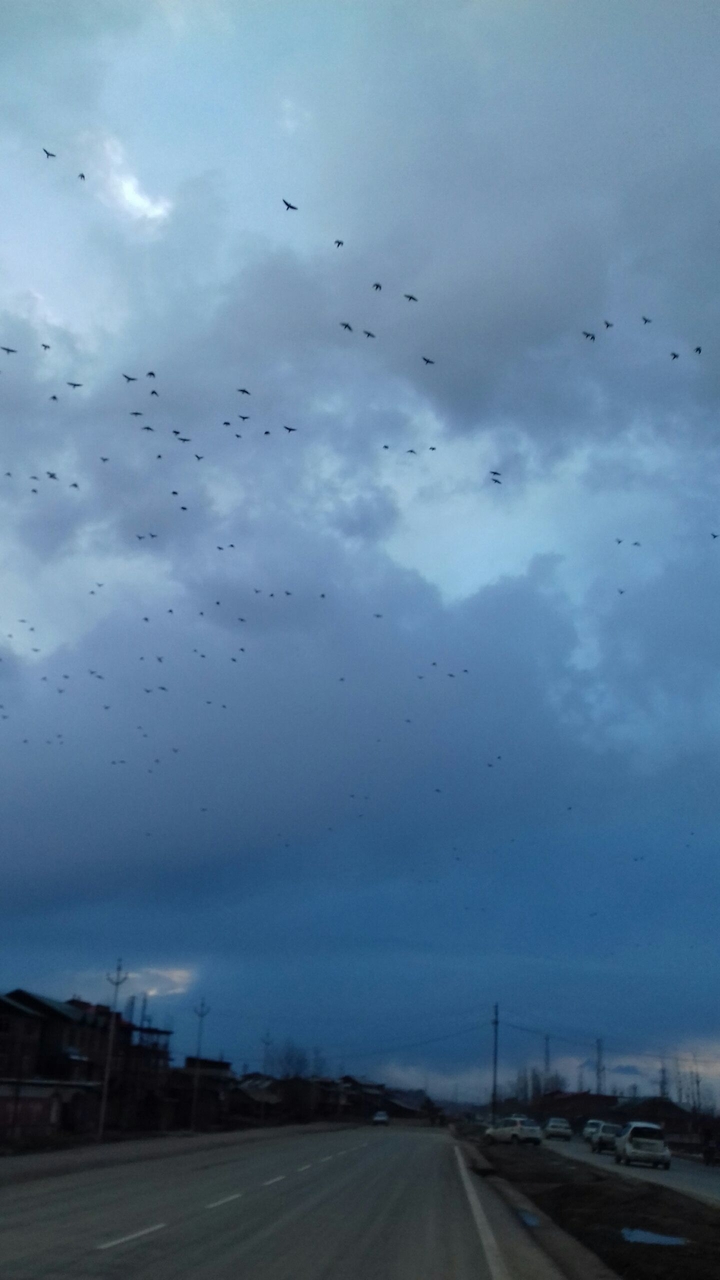 sky..